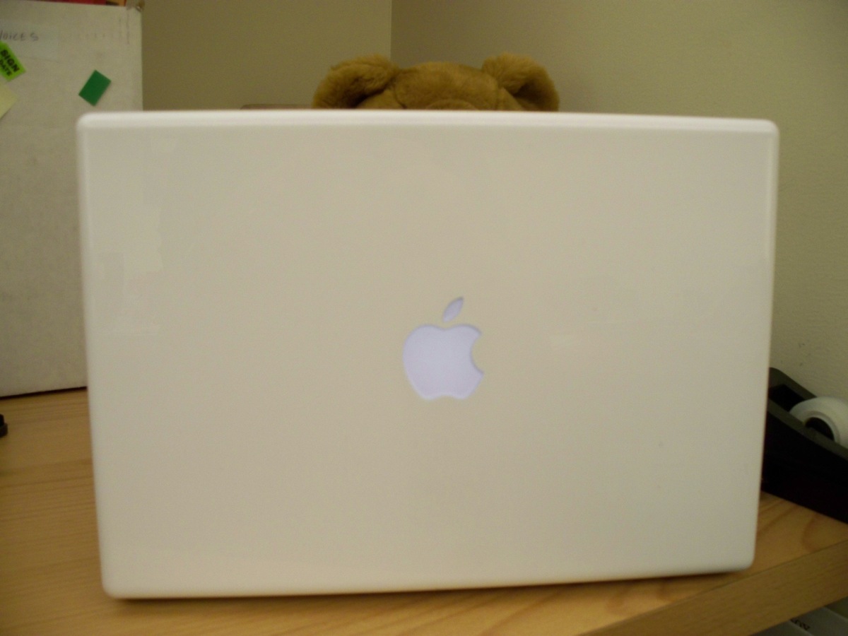 bg_bear_at_work